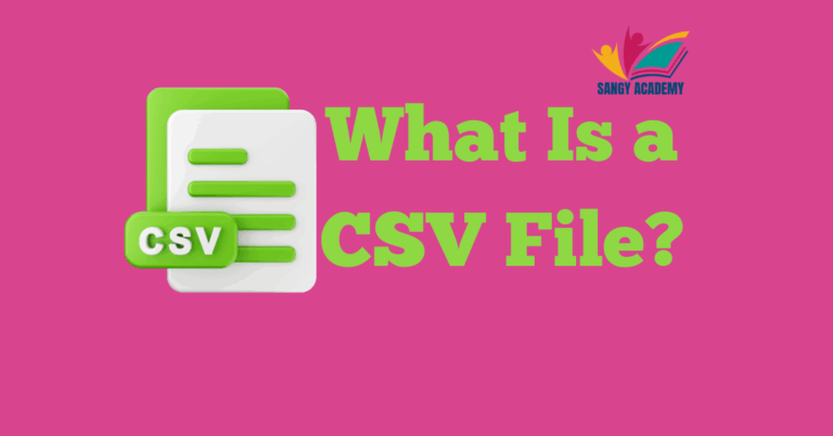 What is a CSV File?